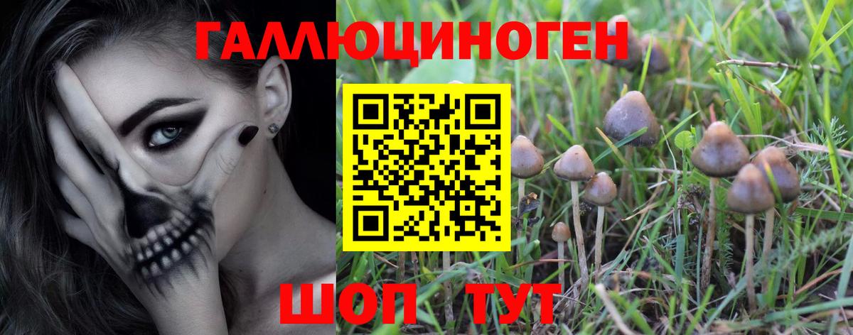 Псилоцибиновые грибы GOLDEN TEACHER Сосновый Бор